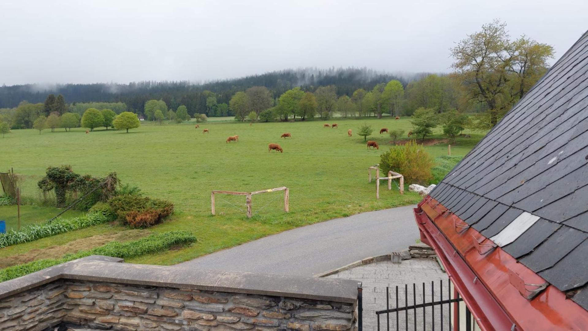 Penzion Slupecna Lipno nad Vltavou Exterior foto